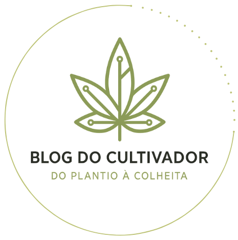 SaintFlower cultivo medicinal